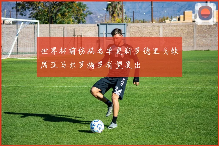 世界杯前伤病名单更新罗德里戈缺席亚马尔罗梅罗有望复出